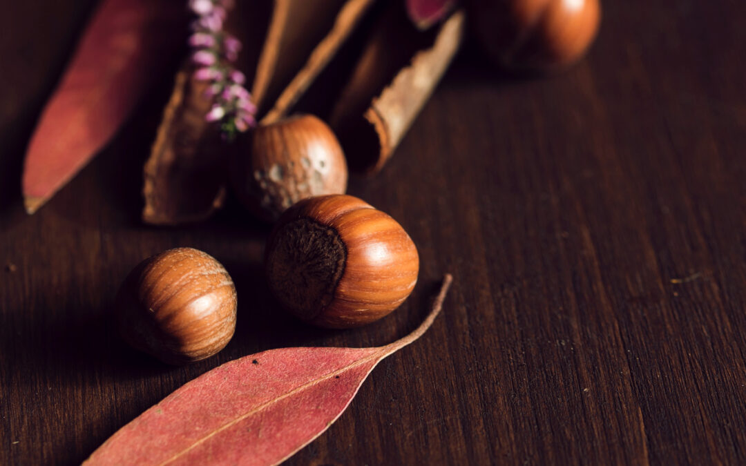 ¿Eres nuez, almendra o avellana?